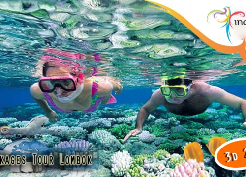 Cheap Lombok Tour Backpacker Package