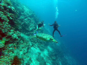 Snorkeling Pemuteran Bali