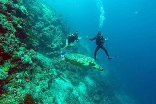 Snorkeling Pemuteran Bali
